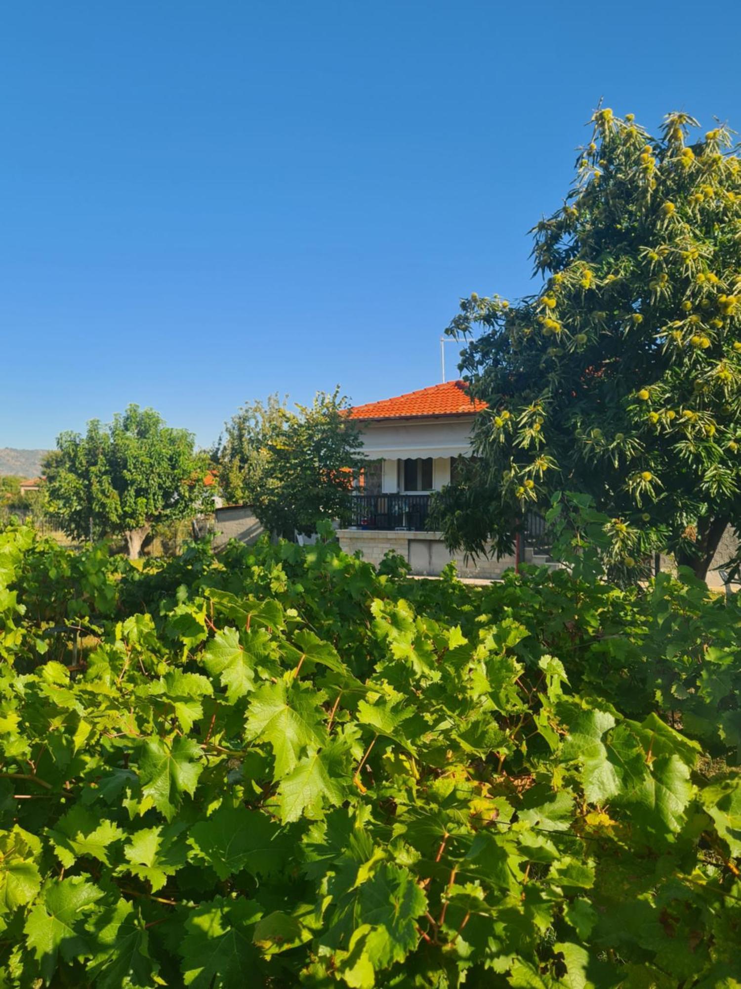 Villa Anna Paliókastron Exterior foto
